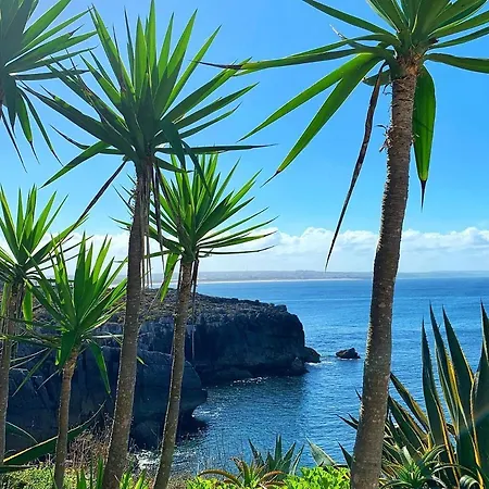 Doce Lar Hébergement de vacances *